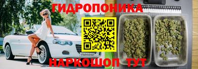 стаф Краснознаменск