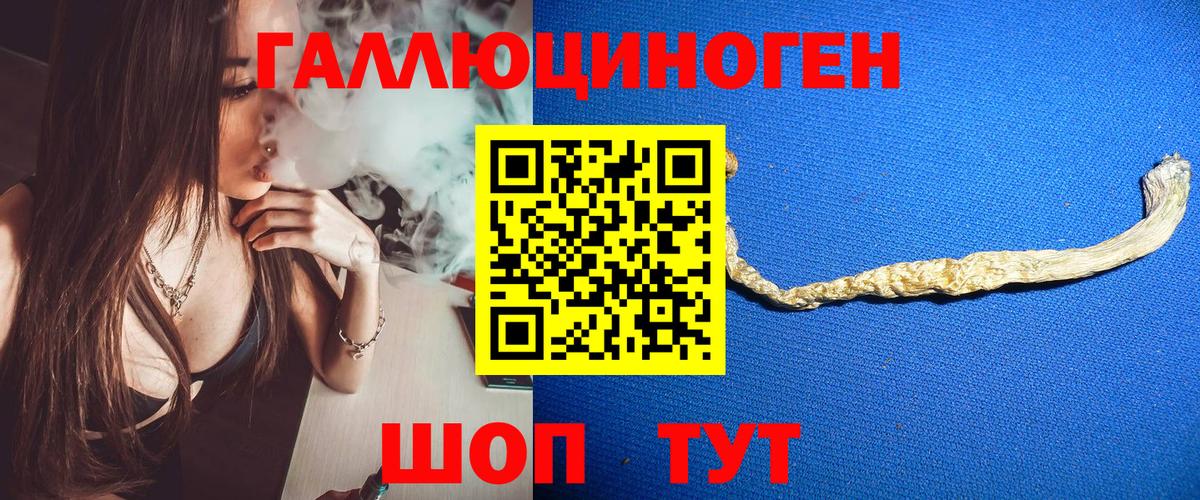 Галлюциногенные грибы Cubensis  Вход с VPN  Елец 