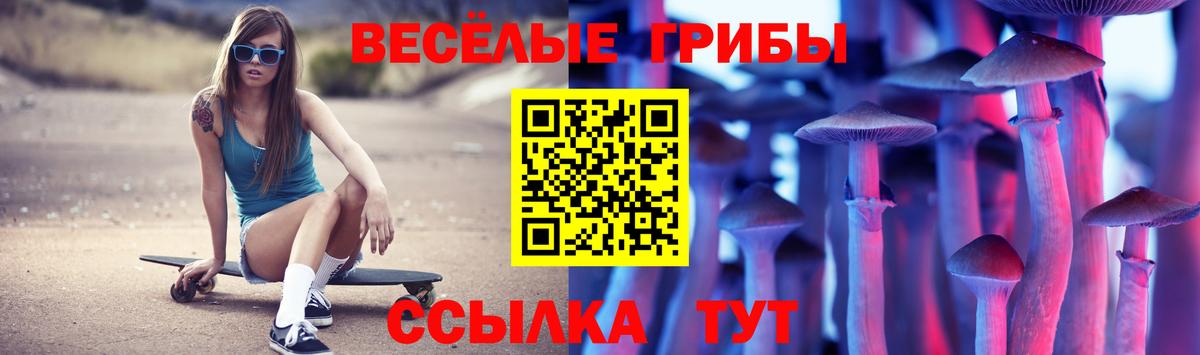 Псилоцибиновые грибы Cubensis Елец